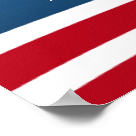 Poster Créez votre propre conception d'élection (Coin)