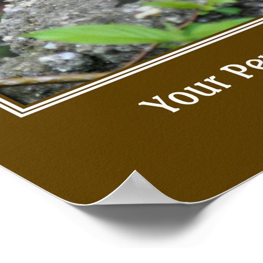 Poster Créez votre propre devis Chipmunk (Coin)