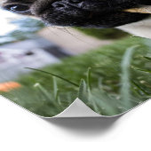 Poster Créez votre propre photo personnalisée (Coin)