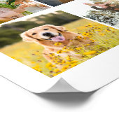 Poster Créez votre propre profil de photos sur les médias (Coin)