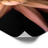 Poster Crème Dahlia Corona (Coin)