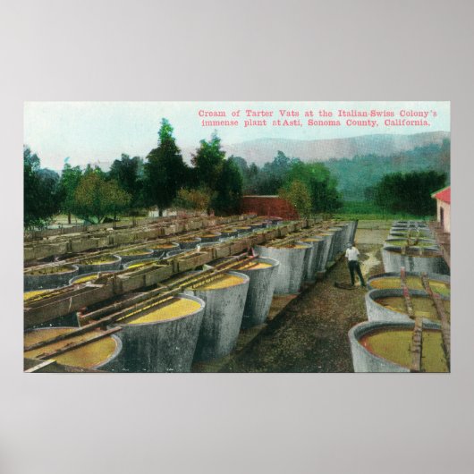 Poster Crème de Tartar Vats Vue à Colon Italien-Suisse (Devant)