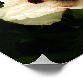 Poster Crème Oriental Poppies (Coin)