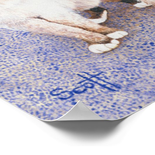 Poster Crèmes au chocolat (Coin)