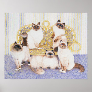 Poster Crèmes au chocolat