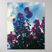 Poster crepe myrtle on a cloudy day (Devant)