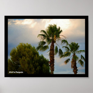 Poster Crépuscule de palmiers tropicaux