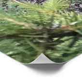 Poster Crescent Creek, Oregon (Coin)