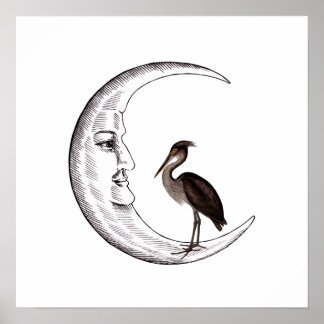 Poster Crescent moon with face with  Great-billed Heron