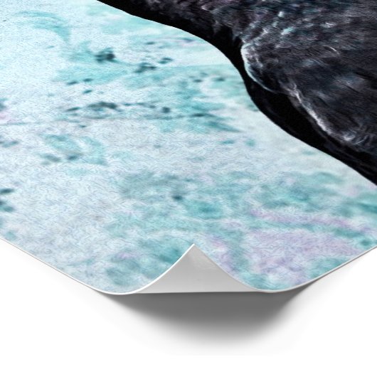 Poster Crested Auklet (Coin)