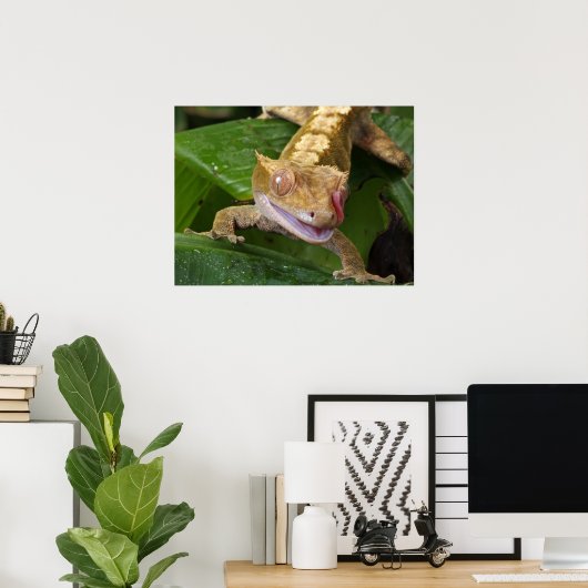Poster Crested Gecko (Bureau à domicile)