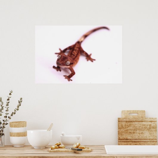 Poster Crested Gecko Marcher sur un angle (Cuisine)