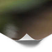 Poster Crête dorée (Coin)