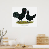 Poster Crevecoeur Chickens (Cuisine)