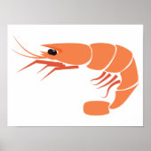 Poster crevettes (Devant)