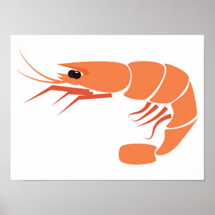 Poster crevettes