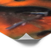 Poster Crevettes dans une éponge (Coin)