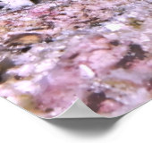 Poster Crevettes Goby et crevettes (Coin)