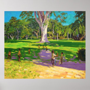 Poster Cricket match Botanical Gardens Dominica