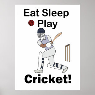 Poster Cricket Sports Manger Dormir Jouer Cricket