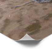 Poster Cricket Teignmouth (Coin)