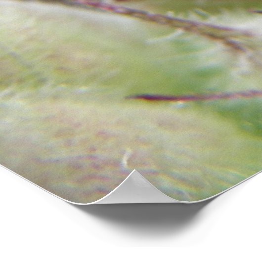 Poster Cricket vert sur feuille (Coin)