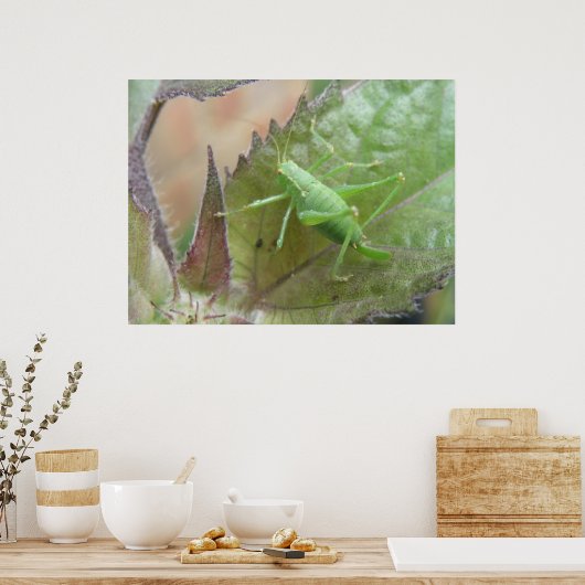 Poster Cricket vert sur feuille (Cuisine)