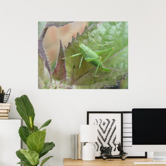 Poster Cricket vert sur feuille (Bureau à domicile)