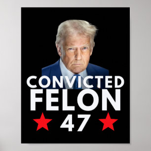 Poster Criminel Condamné 47 Président 2025 Anti Trump Cri