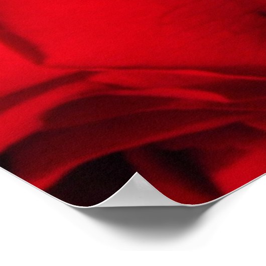 Poster "Crimson Bouquet" (Coin)