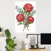 Poster Crimson Protea Bouquet Watercolor (Bureau à domicile)