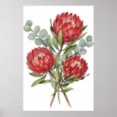 Poster Crimson Protea Bouquet Watercolor (Devant)