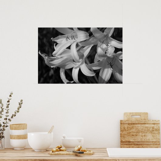 Poster Crinum noir et blanc (Cuisine)