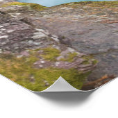 Poster Crique d'Avalanche, Parc national des Glaciers, Mo (Coin)