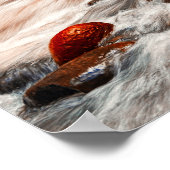 Poster Crique de Borjomi (Coin)