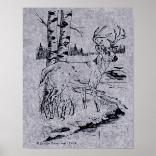 Poster Crique de dessin d'encre de cerfs communs de mâle