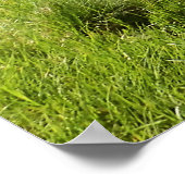 Poster Crique de Tumalo, Oregon (Coin)