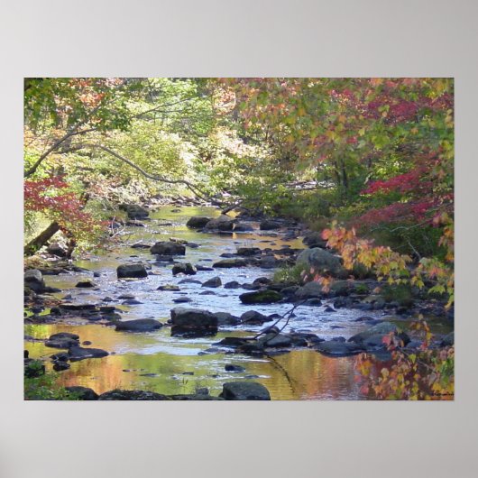 Poster Crique du Connecticut (Devant)