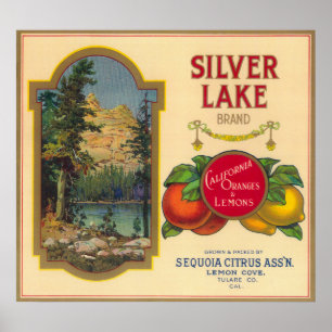 Poster Crique orange de LabelLemon de lac argenté, CA
