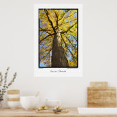 Poster Criquet de miel, Denver, Colorado (Cuisine)