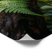 Poster Cristal Caméléon Jungle Glow (Coin)