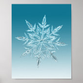Poster Cristal de glace bleu (Devant)