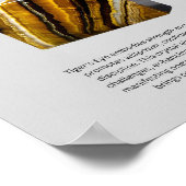 Poster Cristal de l'oeil du tigre (Coin)