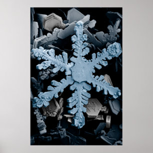 Poster Cristal de neige 2