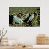 Poster Cristal fantôme (Cuisine)