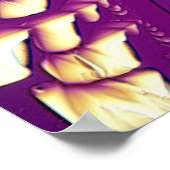 Poster Cristaux d'acide tartrique (Coin)