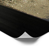 Poster Cristaux de glace (Coin)