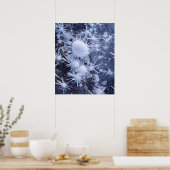 Poster cristaux de glace dans la Sierra (Cuisine)