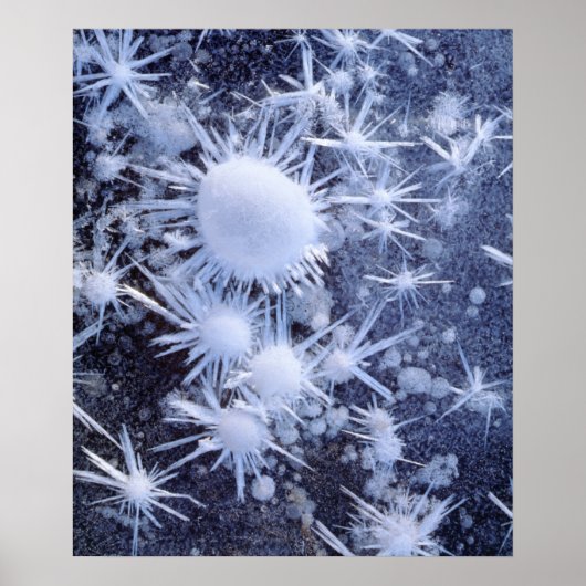 Poster cristaux de glace dans la Sierra (Devant)