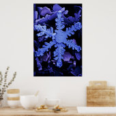 Poster Cristaux de neige (Cuisine)